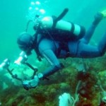 coral_dive_diver_237816_l