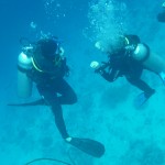 divers-223414