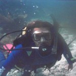 file000195268861