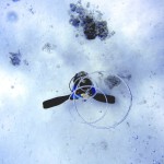 scuba-diving-185486